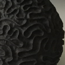 Load image into Gallery viewer, GHP Terra Sigillata - 1 quart (Currently enrolled students only)