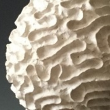 Load image into Gallery viewer, GHP Terra Sigillata - 1 quart (Currently enrolled students only)