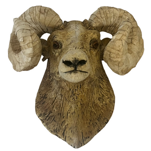 Keira Lynn Phillips, "Big Horn Sheep"