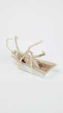 Load image into Gallery viewer, Yage Wang, "Bug (Mushroom)"
