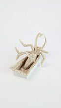 Load image into Gallery viewer, Yage Wang, "Bug (Mushroom)"
