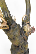 Load image into Gallery viewer, Curtis Arima, &quot;Legacy and Lineage&quot;
