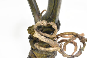 Curtis Arima, "Legacy and Lineage"