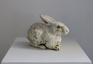 Wren MacDonald, "White Rabbit"