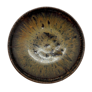 Rudra Schultz Ray - Dish