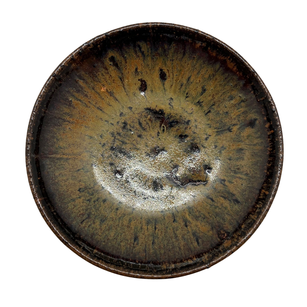 Rudra Schultz Ray - Dish